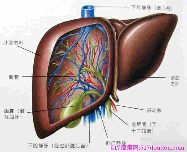 如何有效去痘的关键点？